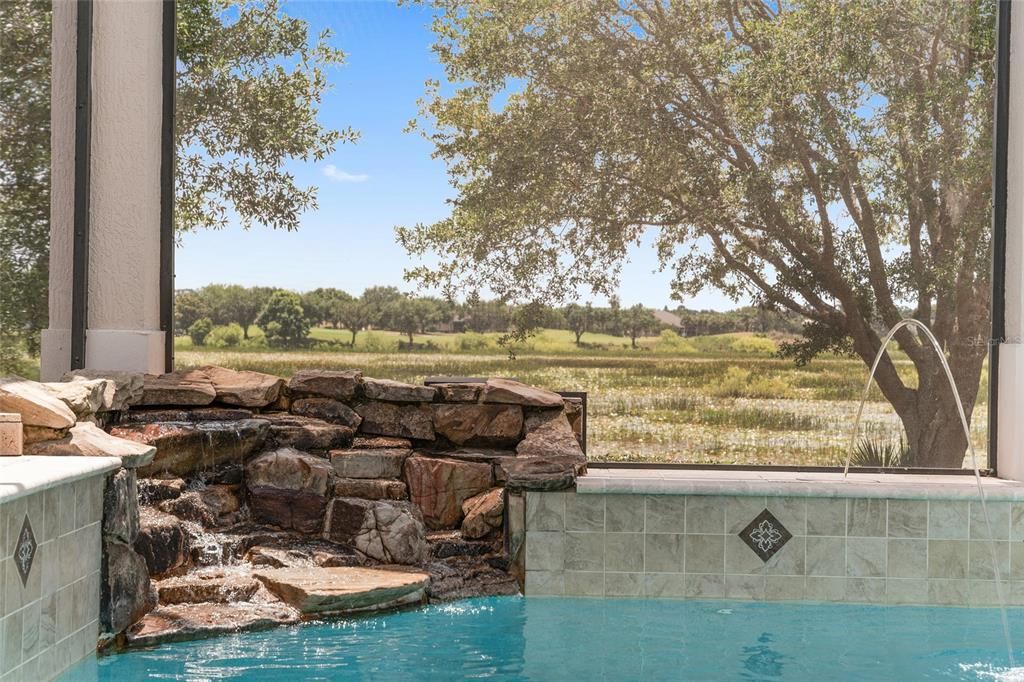 ROCK WATERFALL feature & MAGIC STREAM LAMINARS (arched water feature w/ lighting) for pool in SE corner of MANSARD SCREENED POOL ENCLOSURE. Serene PRESERVE VIEW is visible in center back.