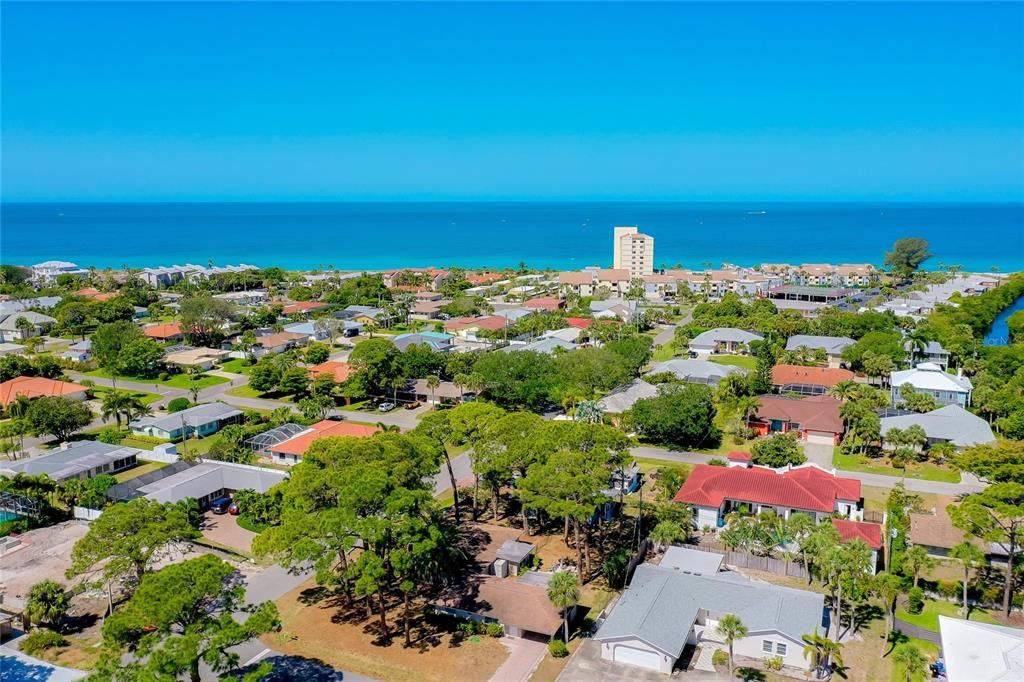 Aerial View Venice/Gulf