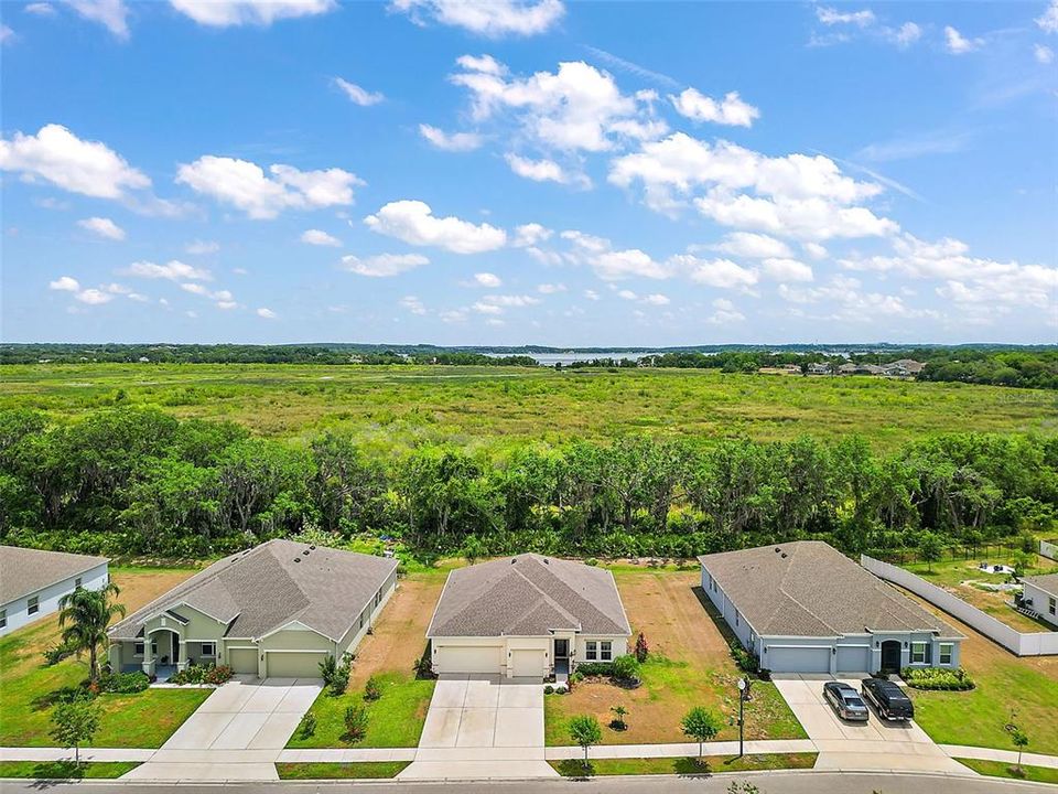 Conservation area in your backyard and Lake Minneola in the distance