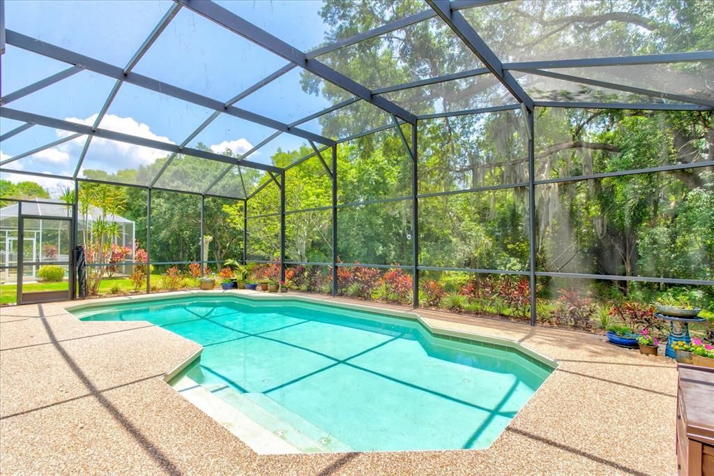 Live the Florida Lifestyle with your gorgeous Pool!