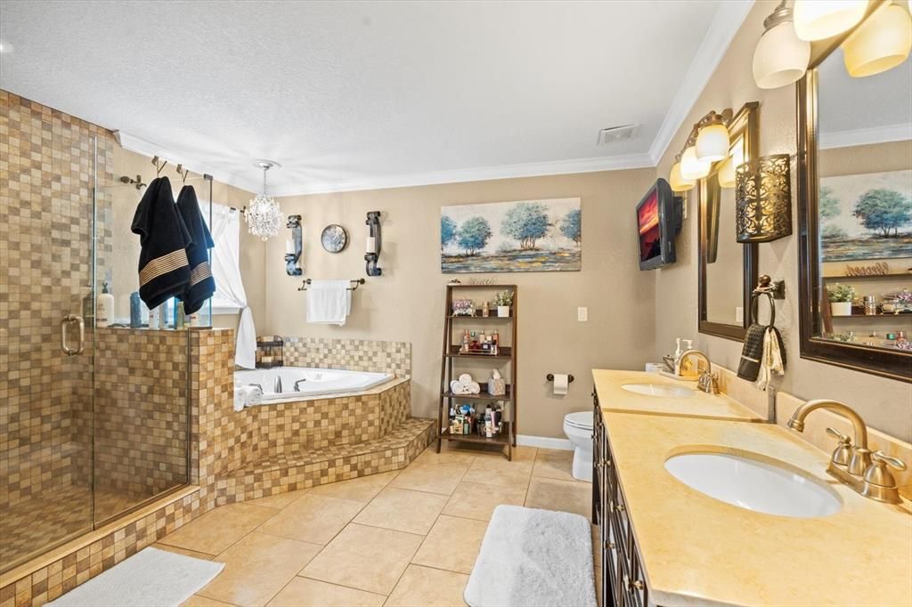 Owner's bathroom: Large walk in tile shower with glass doors, jetted soaking tub, double vanities.