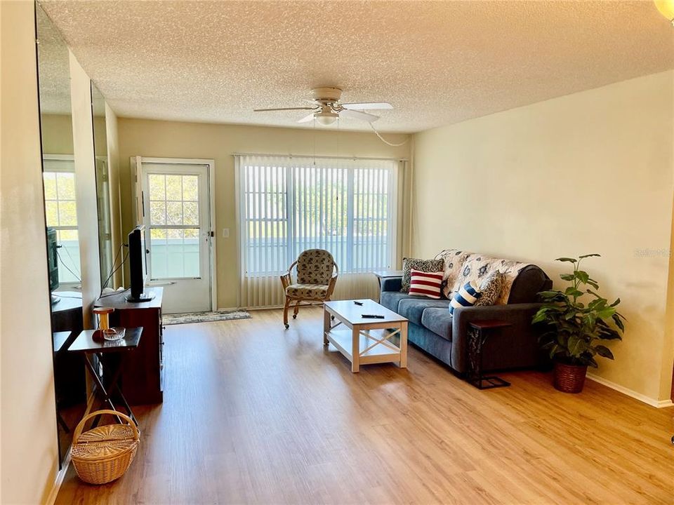 Living room and entrance