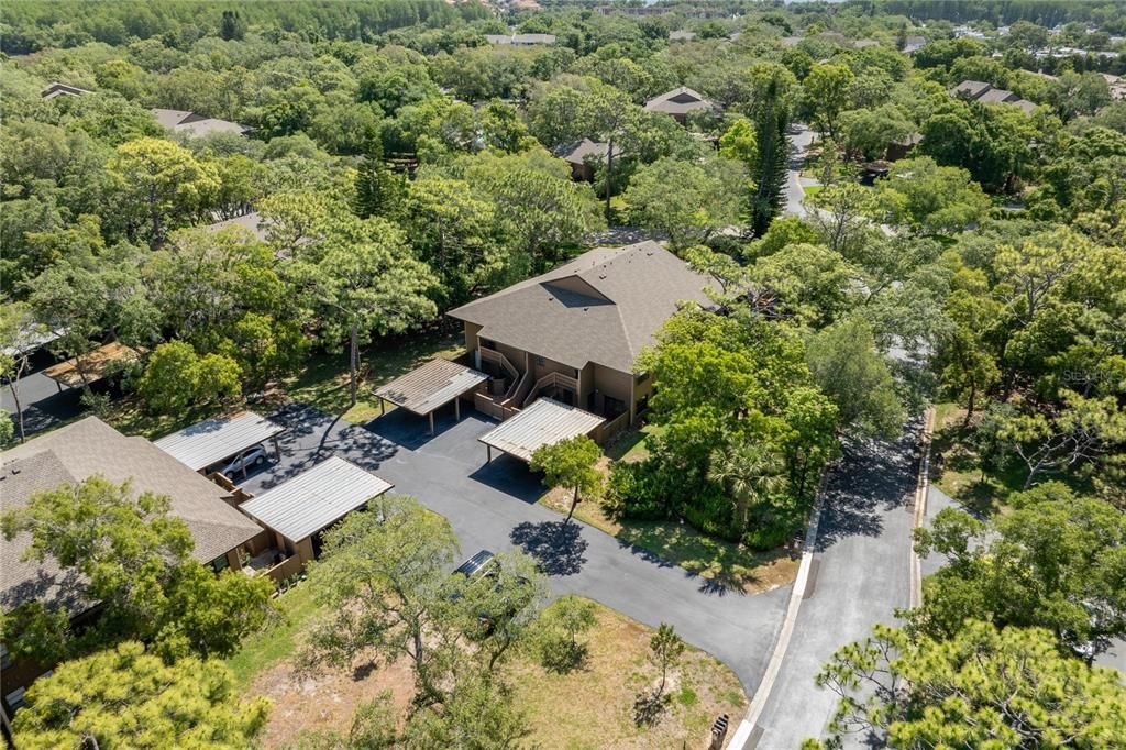 Aerial overview of unit building and community