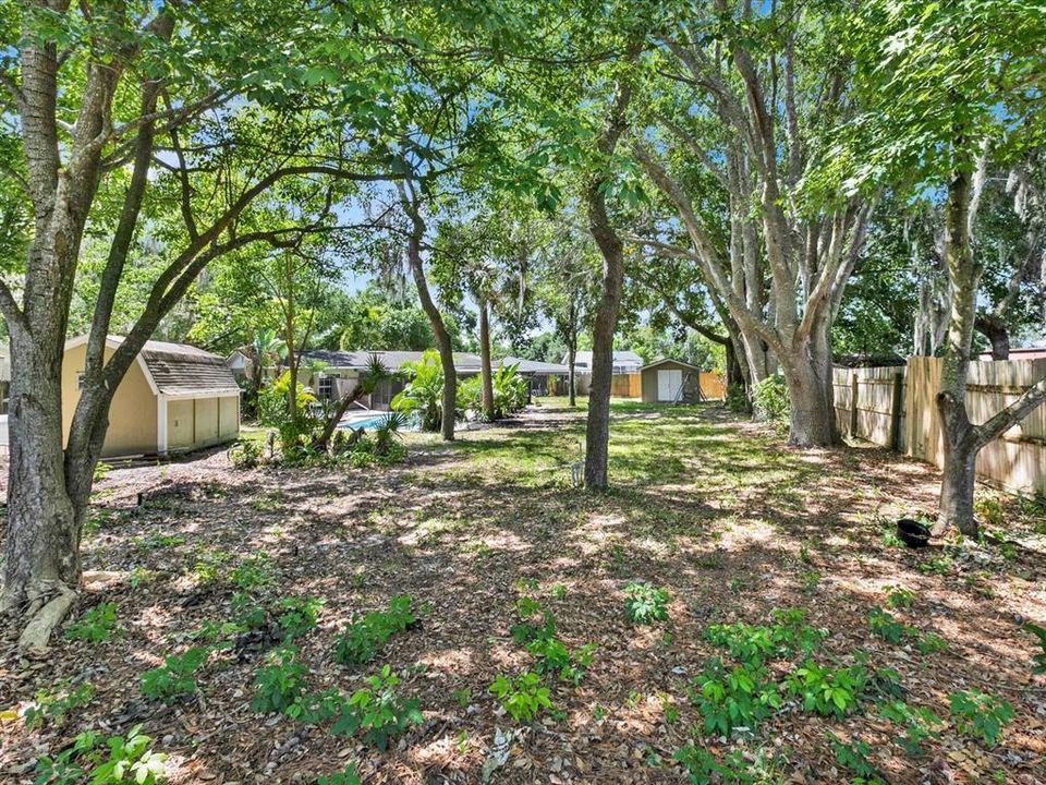 View from the back of the 1/3 acre property looking to the house.  Fully fenced with single gate and double gate on the side, plenty of shade, sunny pool area, with 2 storage sheds and a swing set convey to the buyers.