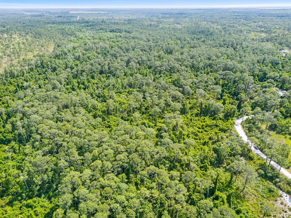 На продажу: $41,000 (2.49 acres)