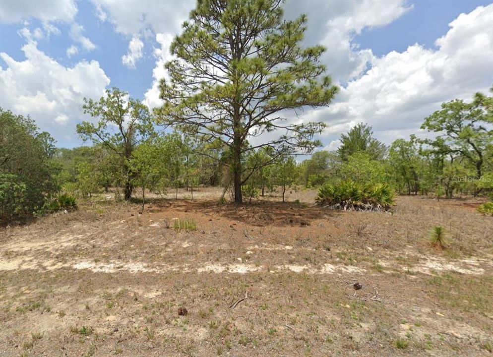 Recently Sold: $9,900 (0.26 acres)