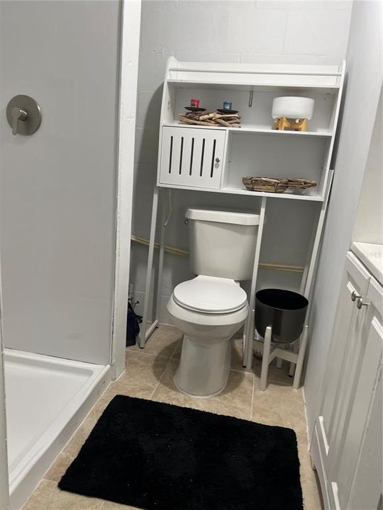 Bonus Room Bathroom.