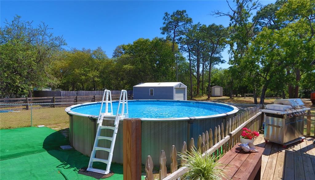 52" X 24" Above Ground Pool with Ladder.