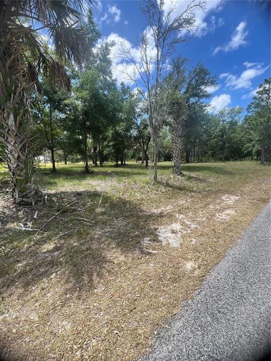 En Venta: $50,000 (1.26 acres)