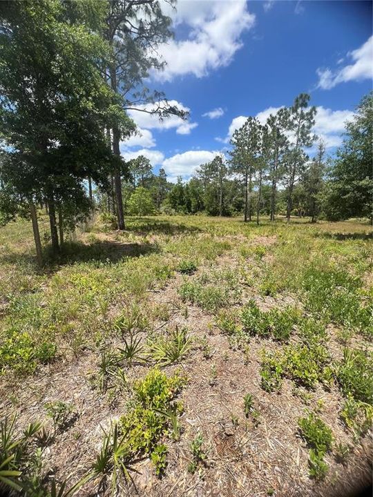 Недавно продано: $50,000 (1.26 acres)