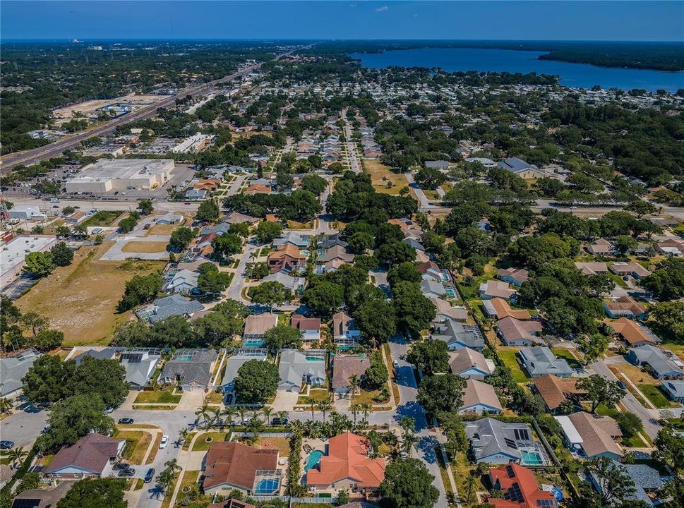 Lake Tarpon in the background