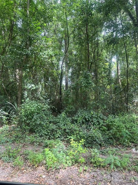 Active With Contract: $27,900 (0.30 acres)
