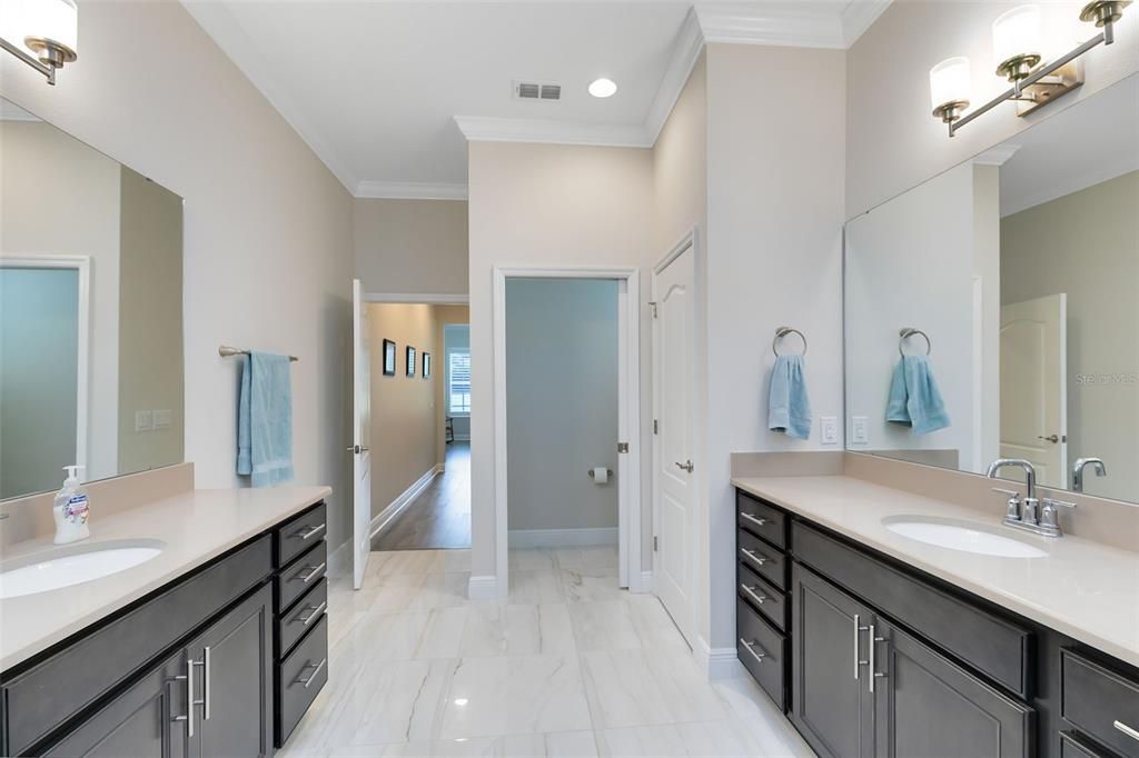 Plenty of counter and cabinet space in the master bath.