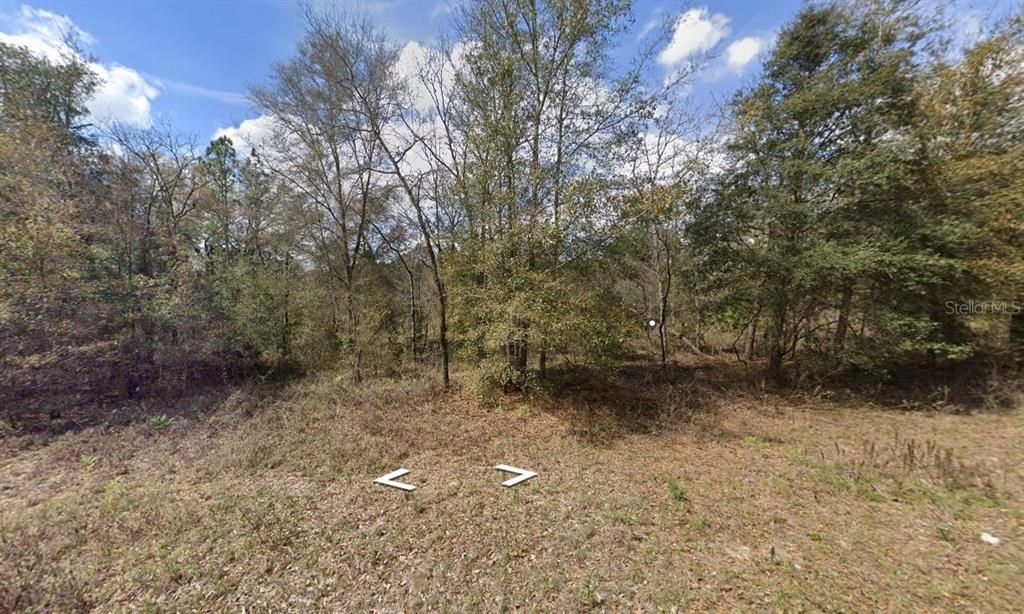 Active With Contract: $48,000 (1.07 acres)