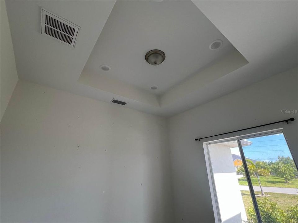 Flex Room - Tray ceilings
