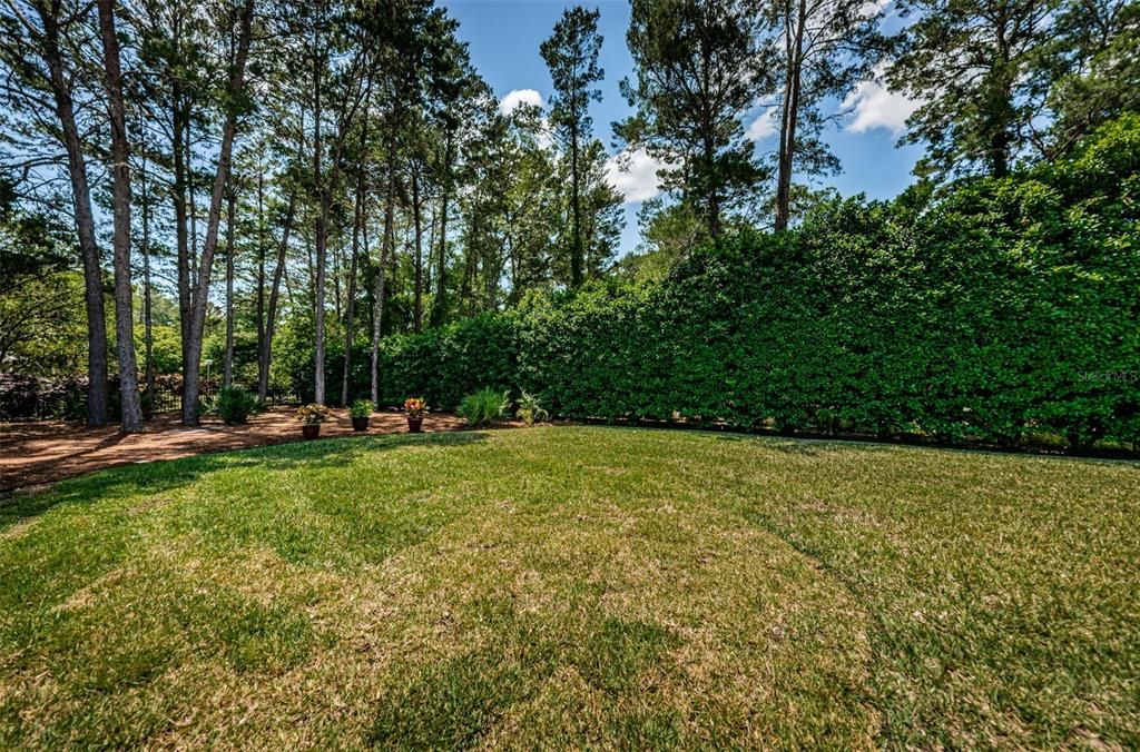 Large easy care backyard with mature pines.