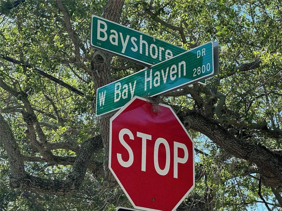 Near the intersection of Bayshore Blvd and Bay Haven Dr