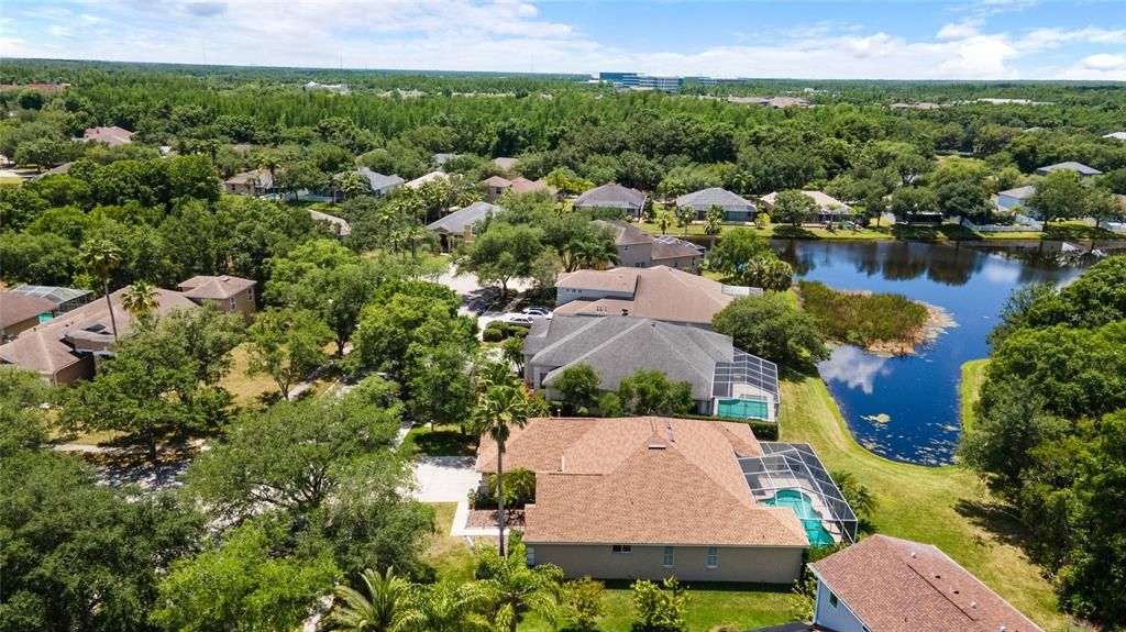 Aerial Pond Views