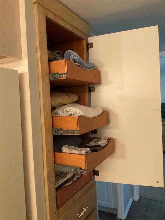 Pull out storage in hallway cabinet.