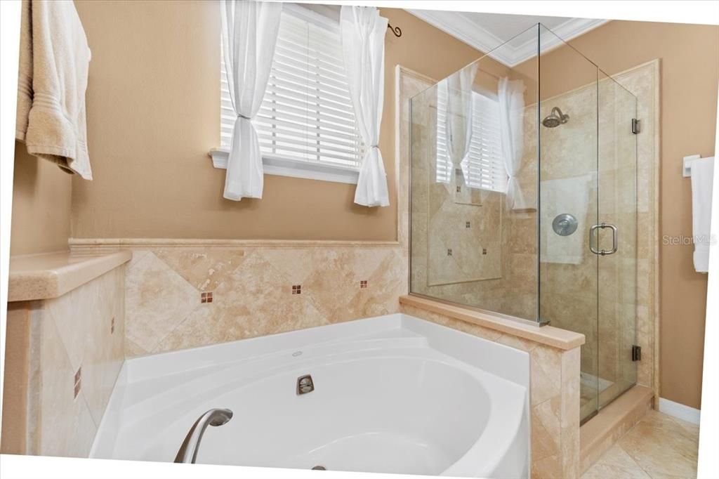 Jetted Tub with Separate Shower