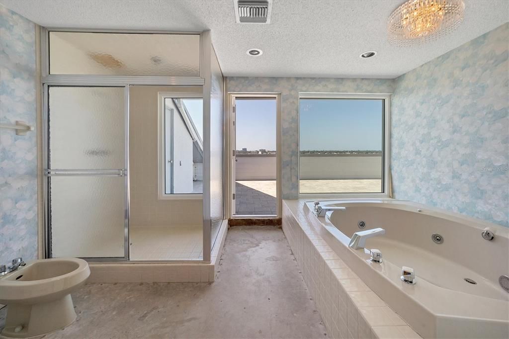 Separate shower, tub with balcony access & views