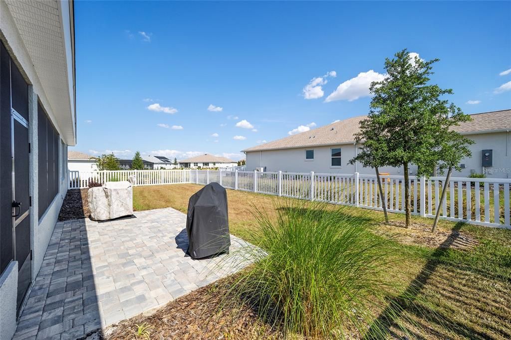 Large fenced in back yard