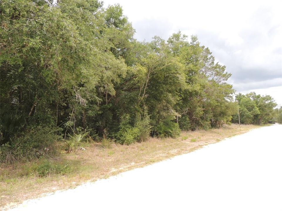 En Venta: $32,000 (1.20 acres)