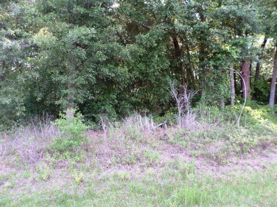 Recently Sold: $15,500 (0.24 acres)