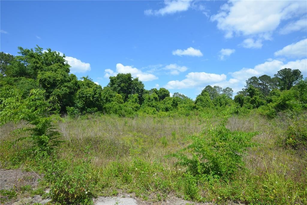 En Venta: $23,000 (0.31 acres)