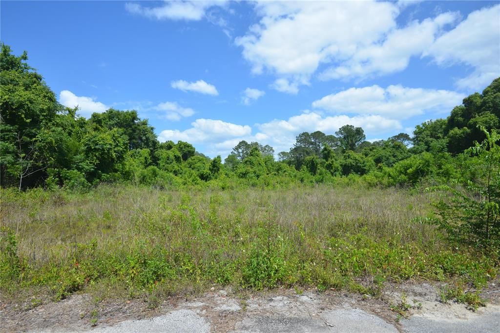 En Venta: $23,000 (0.31 acres)