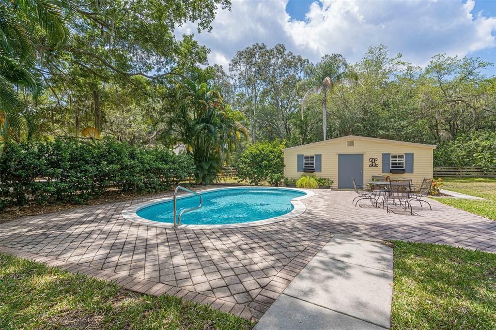 Open Pool Deck with entertaining area a large shed in the backyard. Backyard is fenced.