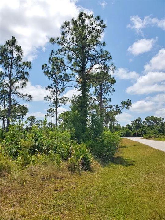 Active With Contract: $27,000 (0.39 acres)