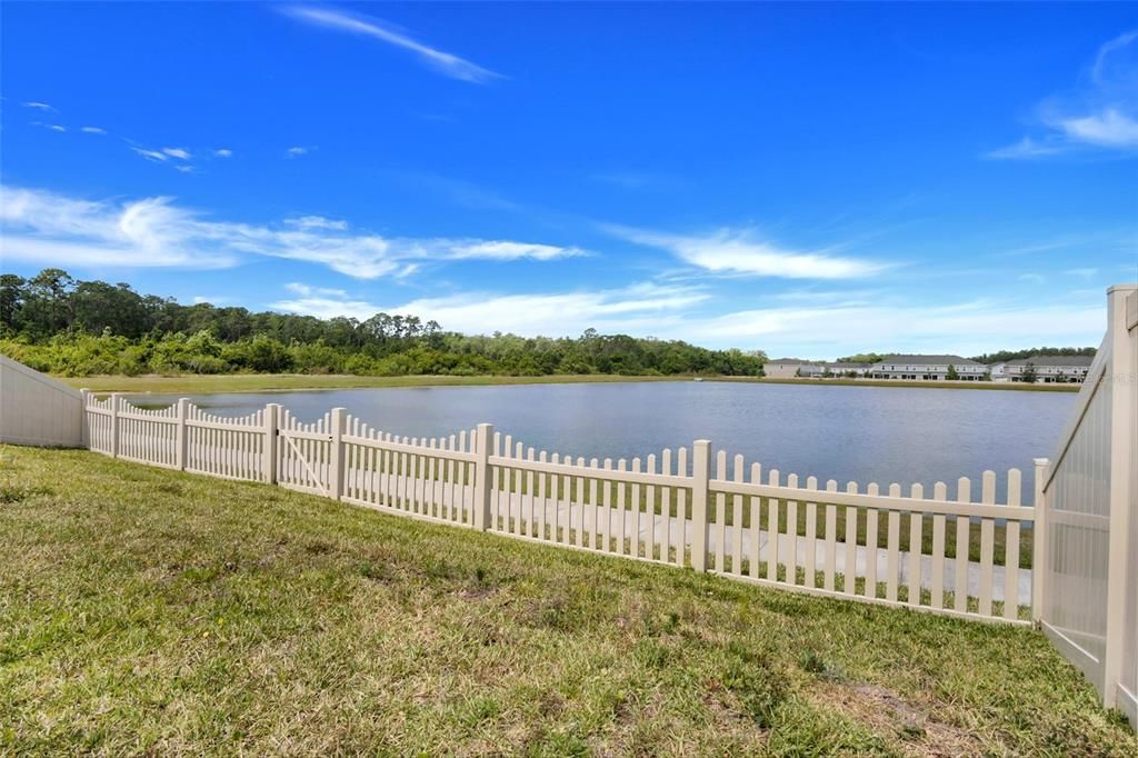 Backyard Lake View