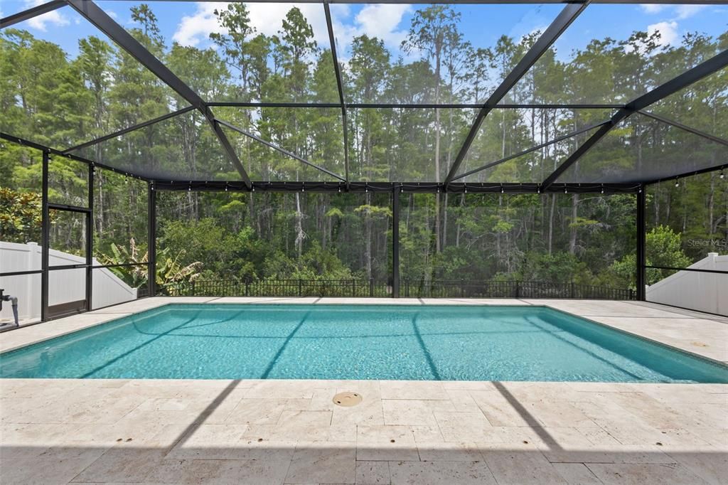 Saltwater Pool with Conservation View
