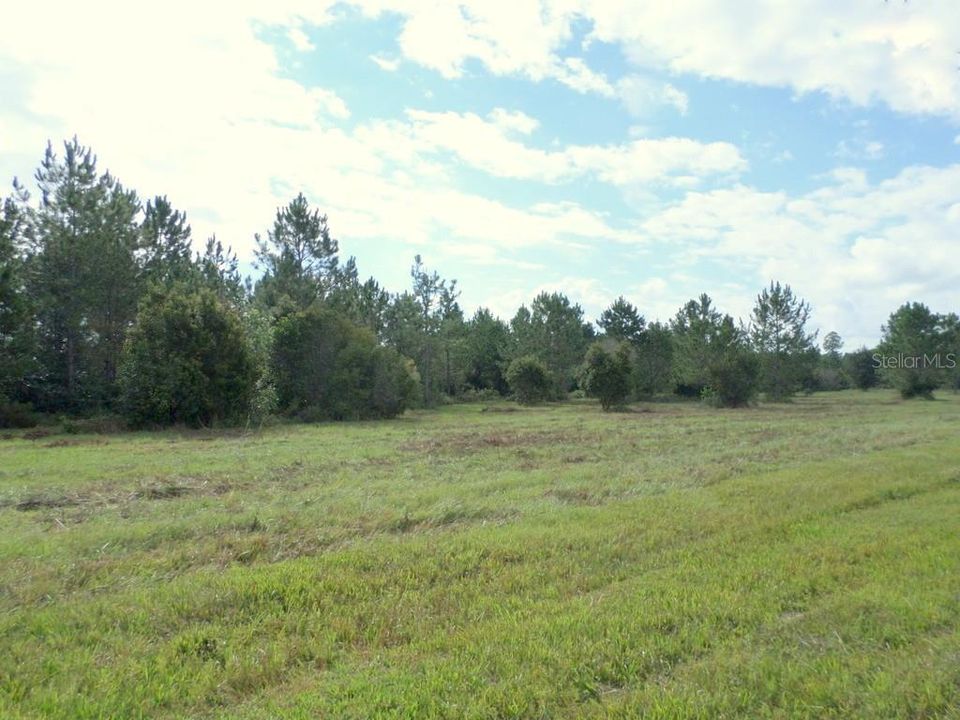 En Venta: $515,870 (65.30 acres)