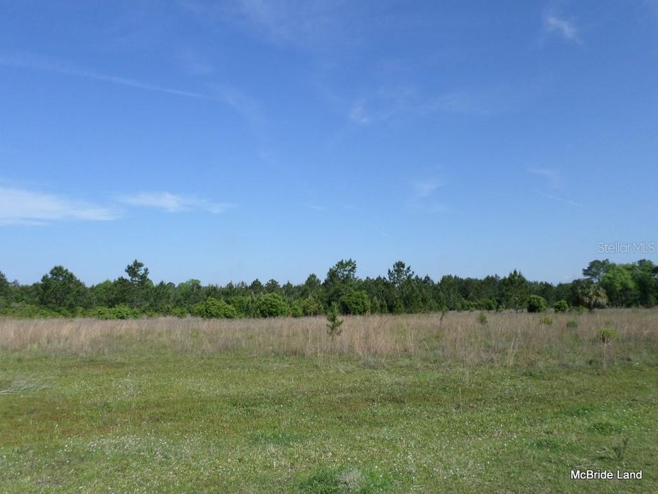 For Sale: $515,870 (65.30 acres)