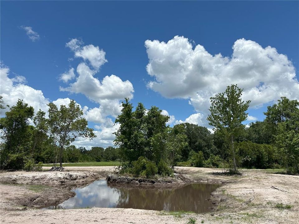 На продажу: $584,600 (74.00 acres)