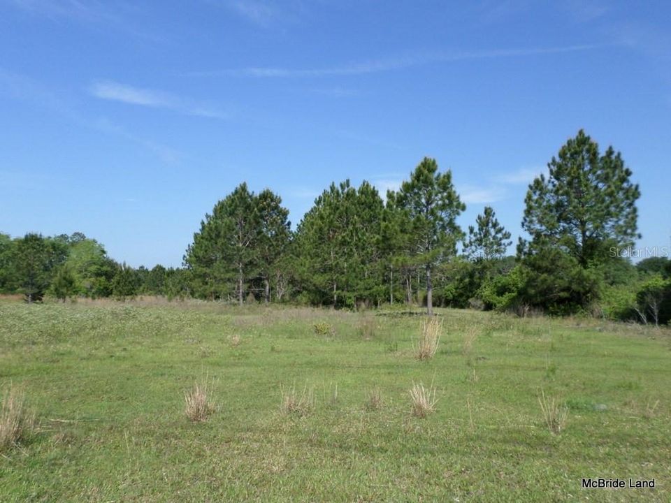 For Sale: $515,870 (65.30 acres)