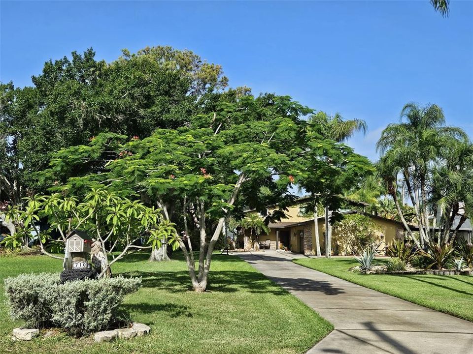 paved path leading to front door