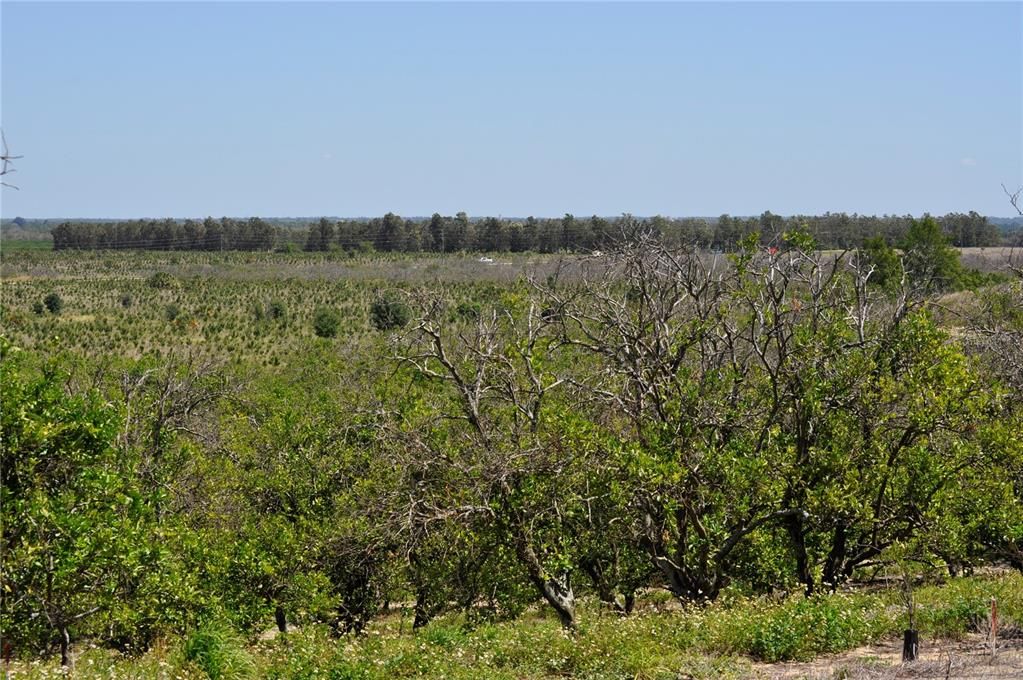 For Sale: $600,000 (19.97 acres)