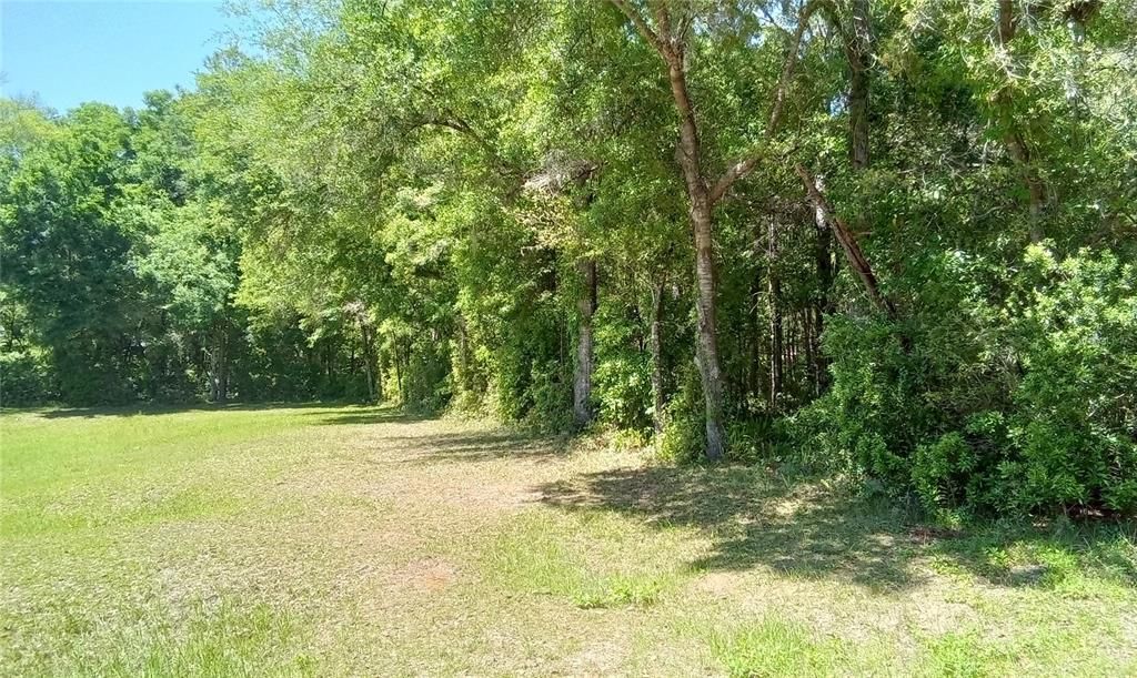 For Sale: $39,900 (1.00 acres)