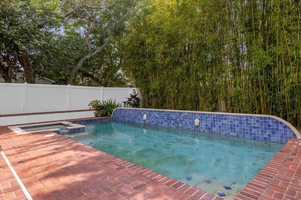 Pool with vinyl fence and bamboo for privacy.