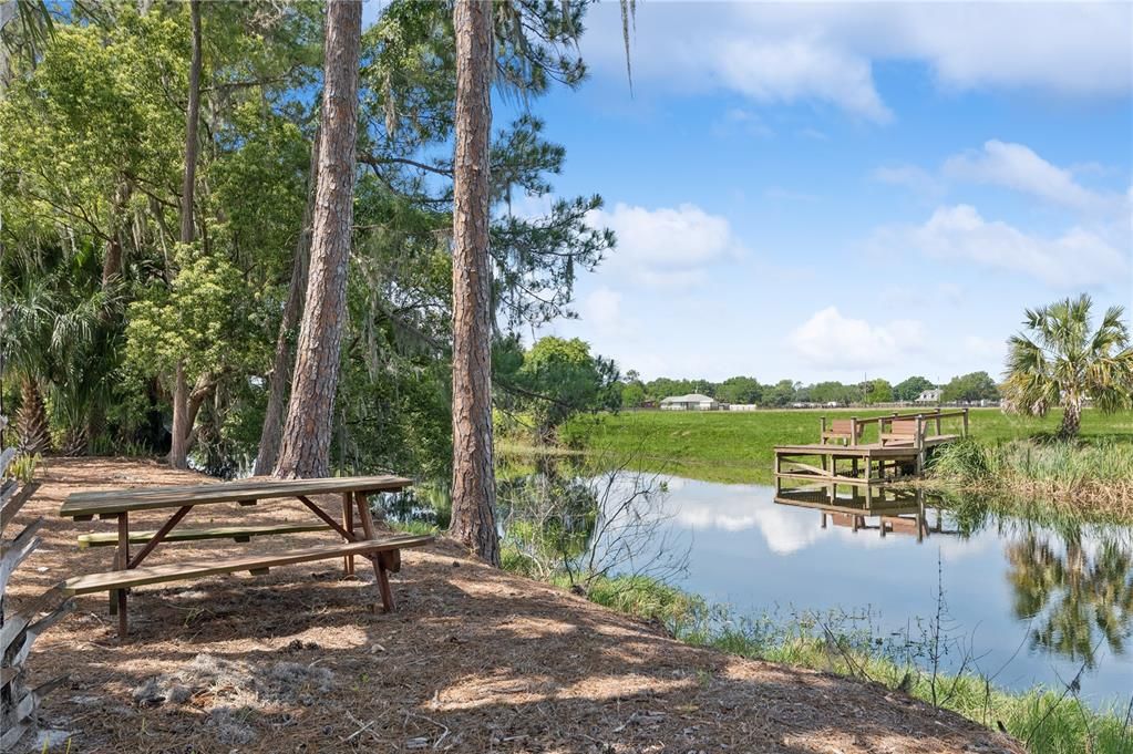 View of your canal front lot in across the street from the house.