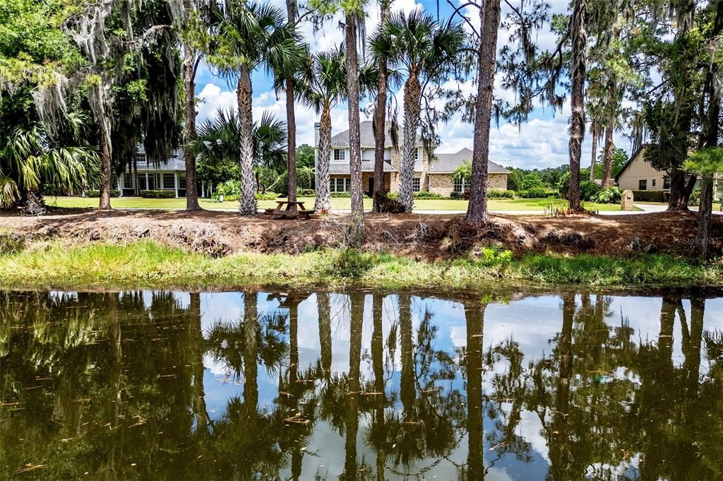 View of your extra lot across the street facing the house.