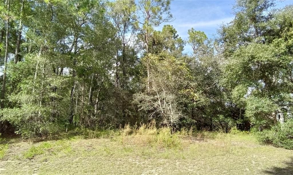Recently Sold: $39,500 (1.05 acres)