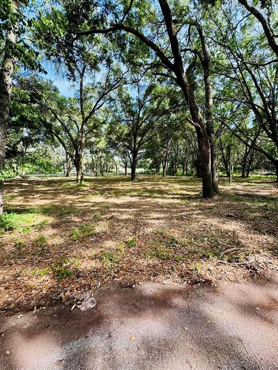 For Sale: $209,000 (3.00 acres)