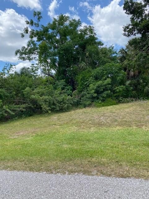 Vacant lot off Eaglet is included in price  and has never been cleared