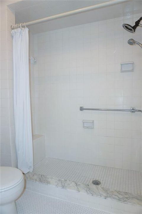 Walk-In Shower