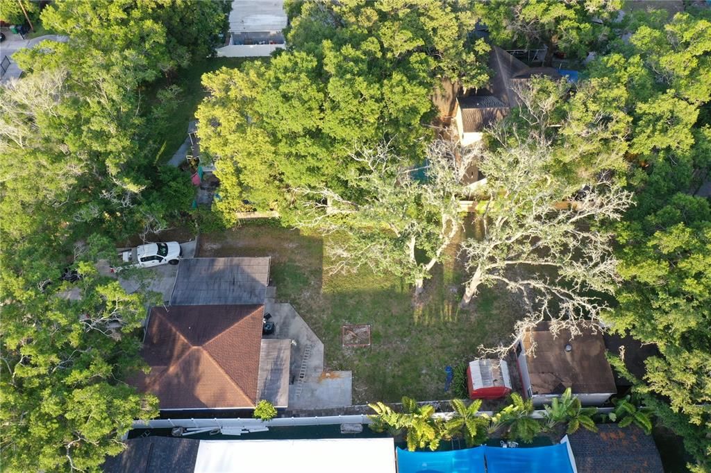 0.34 acres in the HEART of Tampa!