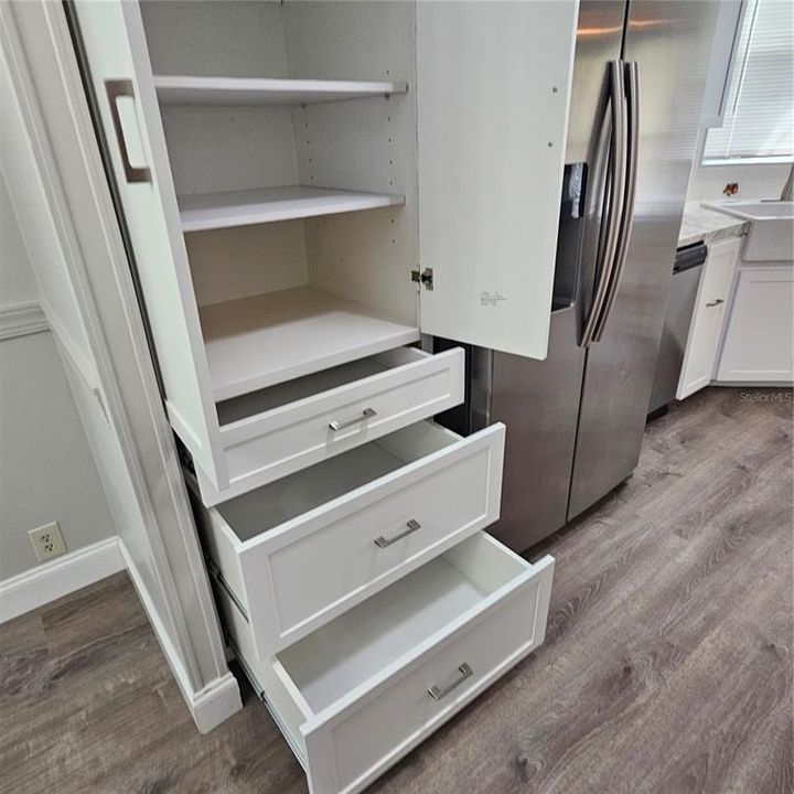 Wall Pantry in kitchen